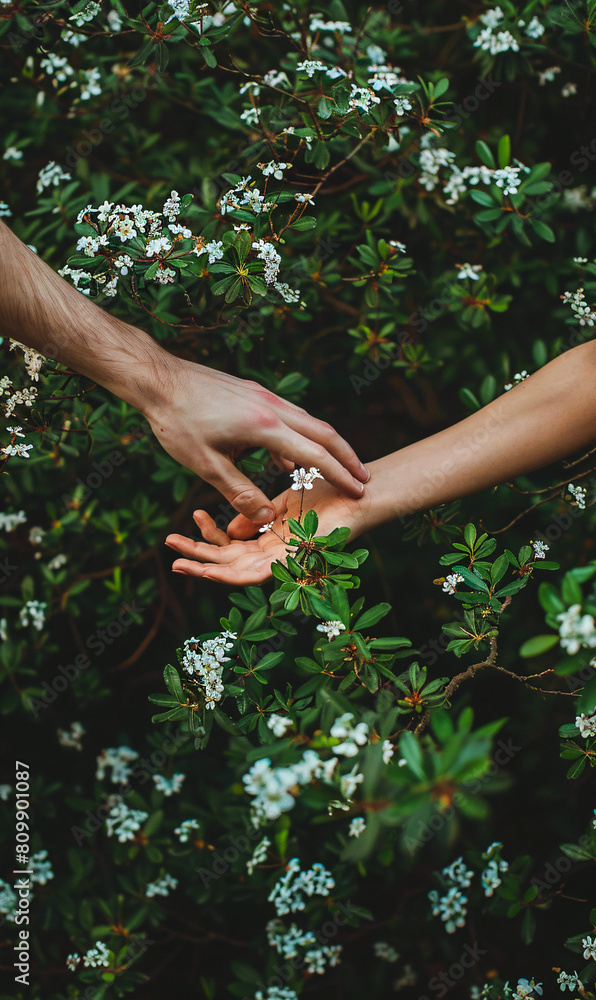 Hands of lovers Hands of lovers