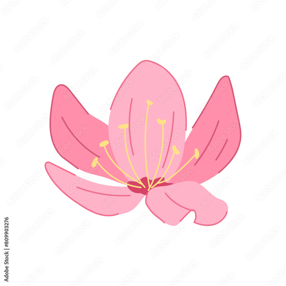 pink sakura cherry blossom cartoon. japan japanese, floral nature, branch petal pink sakura cherry blossom sign. isolated symbol vector illustration