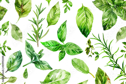 Herbs, Watercolor basil, mint, rosemary, and thyme, Seamless pattern illustration 