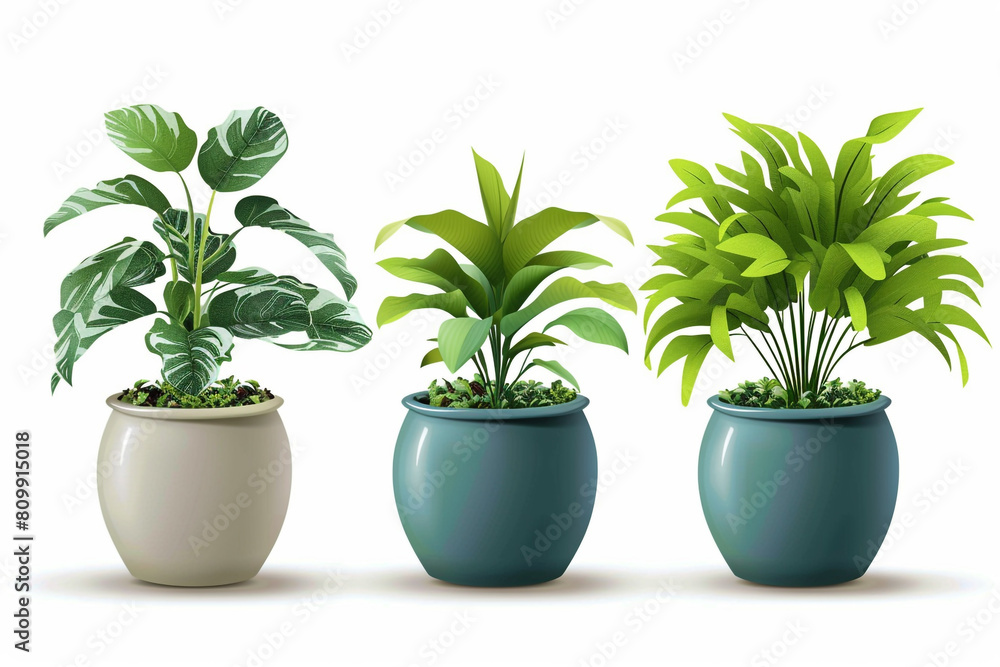 Home flower vector composition isolated green plants in pots for ecofriendly zero waste interiors 