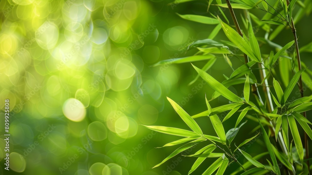 Vibrant green bamboo stems with lush leaves in a serene garden, capturing the natural beauty and tranquility of the scene Vibrant green bamboo stems with lush leaves in a serene garden, capturing the natural beauty and tranquility of the scene