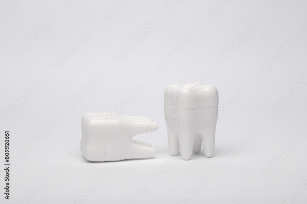 Models of teeth on a white background Models of teeth on a white background