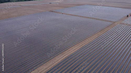system of drip irrigation of fields, view from the height of a drone