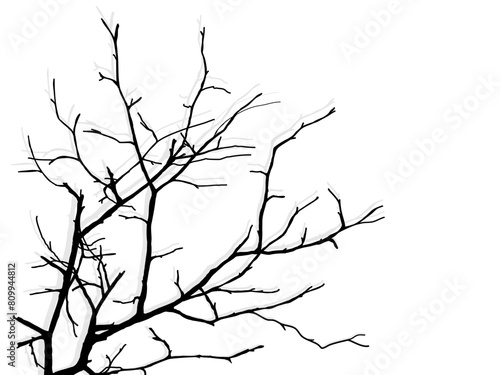 Black Branch Tree or Naked trees silhouettes set. Hand drawn isolated illustrations.