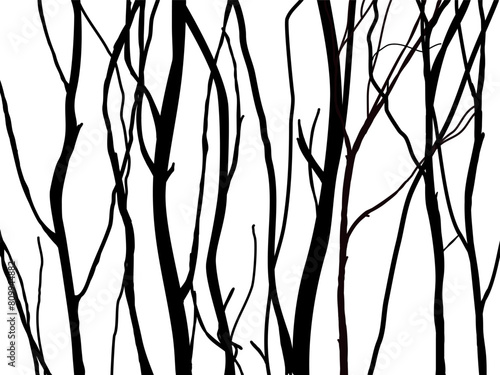 Black Branch Tree or Naked trees silhouettes set. Hand drawn isolated illustrations.