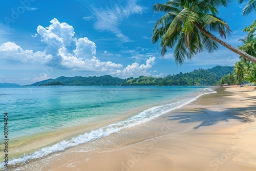 Beach  A Beautiful Tourist Destination with Clear Blue Water  Palm