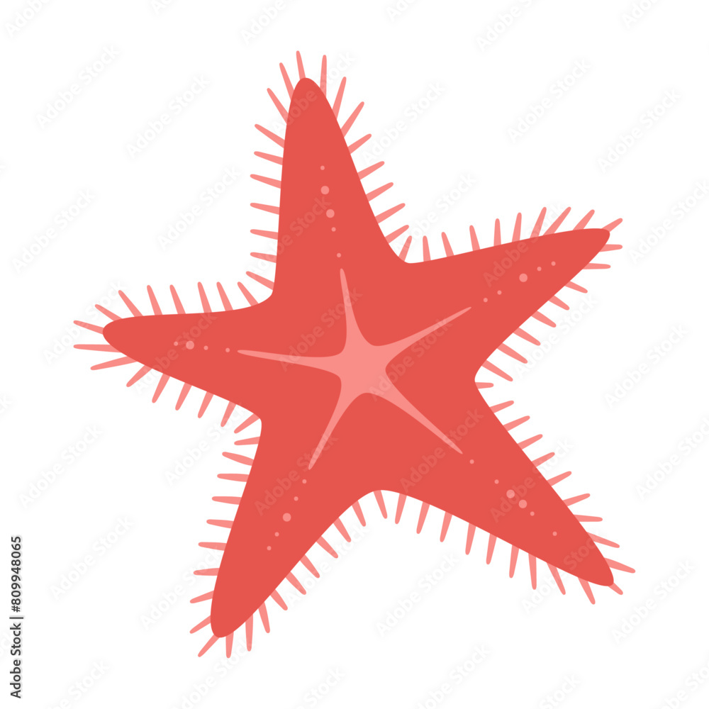 Hand drawn Starfish flat style. Red Starfish icon. Sea animal. Echinoderm. Underwater Marine icon Isolated on white background. Summer vector illustration Hand drawn Starfish flat style. Red Starfish icon. Sea animal. Echinoderm. Underwater Marine icon Isolated on white background. Summer vector illustration