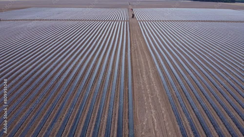 system of drip irrigation of fields, view from the height of a drone system of drip irrigation of fields, view from the height of a drone