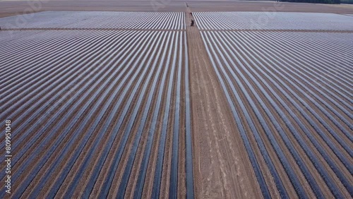 system of drip irrigation of fields, view from the height of a drone
