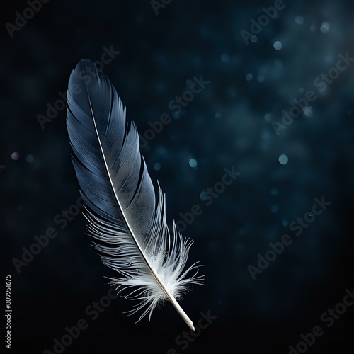 feather on a dark background
