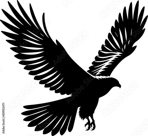 Rapace en vol ailes ouvertes, aigle ou faucon, vecteur noir fond transparent