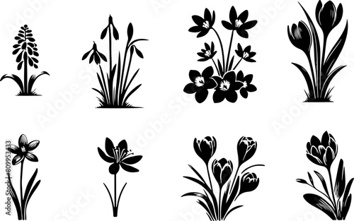Set de fleurs du printemps a ajuster