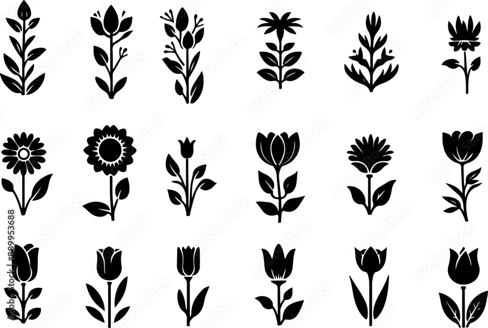 Fototapeta premium Set de fleurs, vecteur noir fond transparent