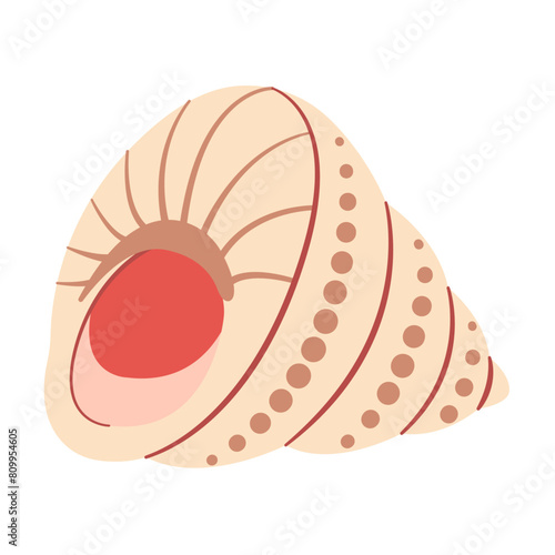 Hand drawn Seashell. Trendy flat style seashell illustration. Souvenir seashell isolated on white background. Vector illustration