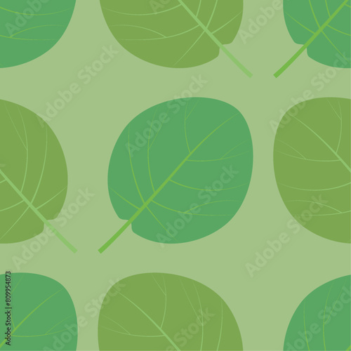 Kiwi leaves green seamless pattern vector illustration