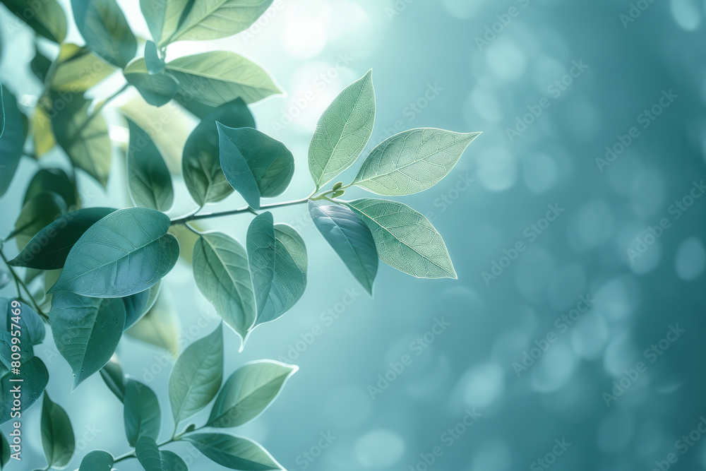 Wellness app interface with a soothing background gradient from olive green to pastel blue, enhanced by leaf motifs, Wellness app interface with a soothing background gradient from olive green to pastel blue, enhanced by leaf motifs,