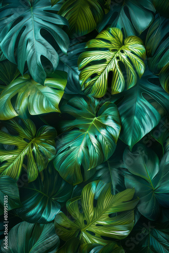 Eco-tourism poster with a deep green to blue gradient and detailed illustrations of rainforest leaves,