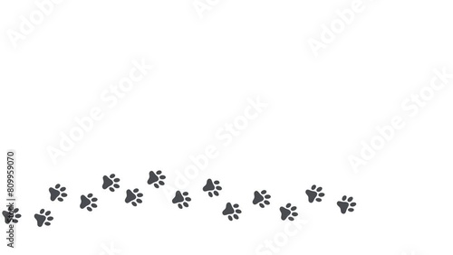 dog paw, cat paw trail print isolated on white background. 4k animated video with copy space photo