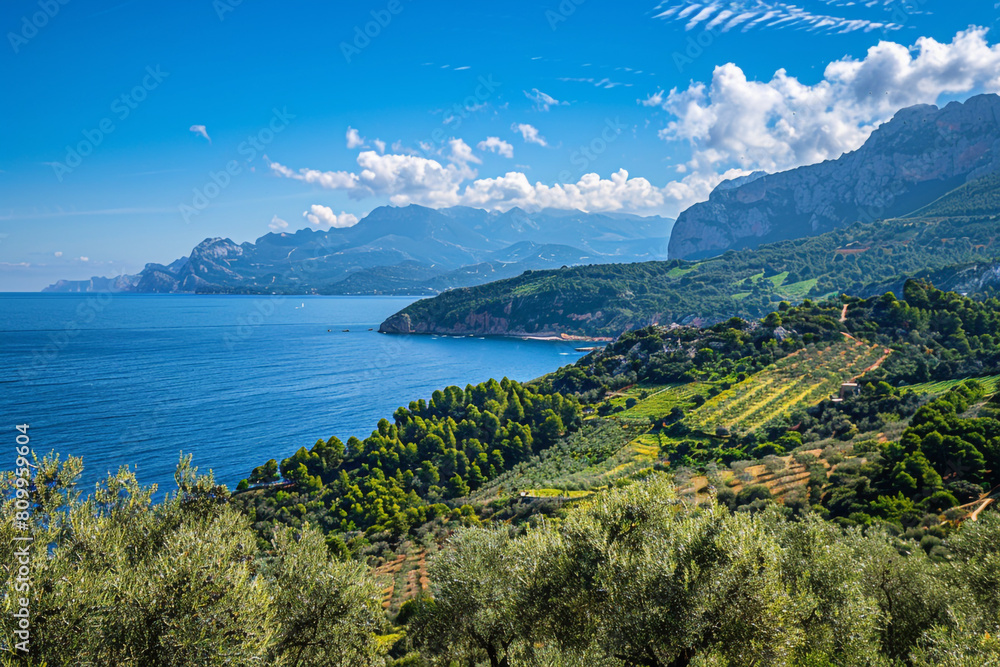 Mediterranean culinary tour with olive groves and sea views 