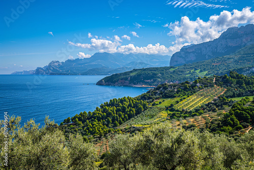 Mediterranean culinary tour with olive groves and sea views 