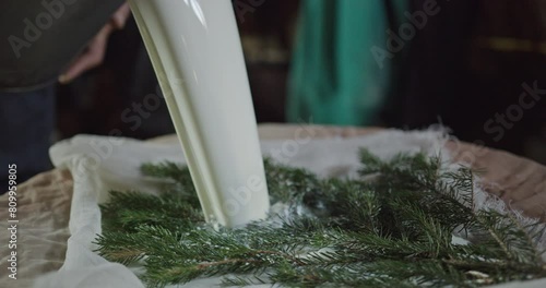 Close-up view of sheep's milk being strained over pine branches in a traditional Carpathian hut during the making of brynza cheese. photo