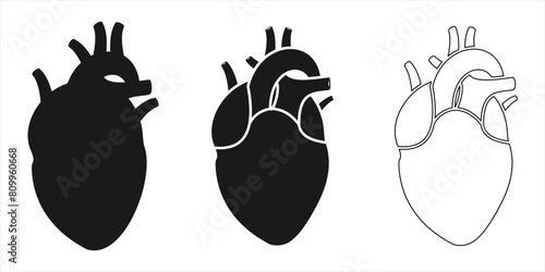 heart icon set. human heart icon vector illustration isolated on white background.