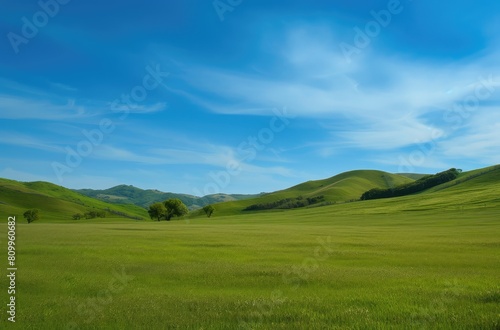 Serene Green Rolling Hills on Sunny Day