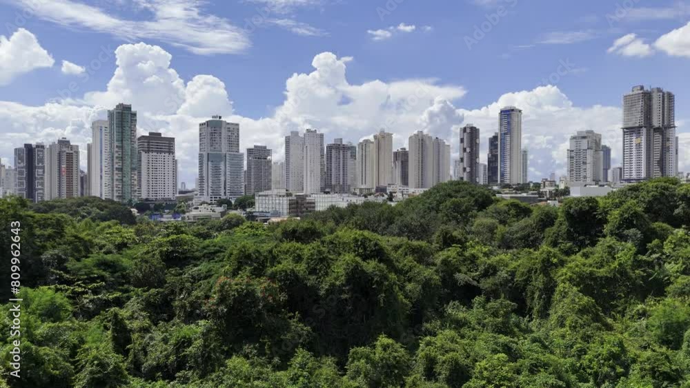 Drone rises up from park bench to reveal city skyline on cloudy afternoon Drone rises up from park bench to reveal city skyline on cloudy afternoon