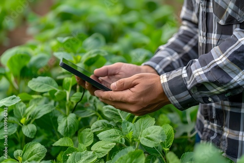 A Man agronomist using digital tablet for analysis of plantation in the farm