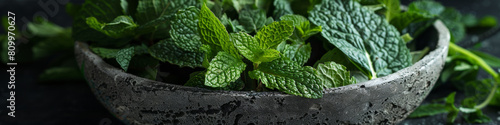 Fresh green peppermint in a concrete bowl. photo