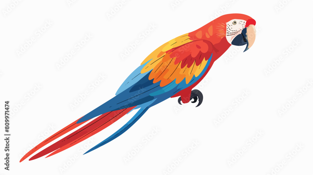 Tropical Ara parrot. Macaw multicolored feathered bird