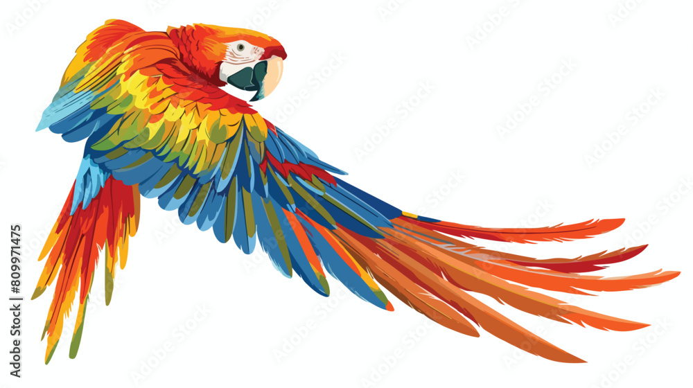 Tropical Ara parrot. Macaw multicolored feathered bird