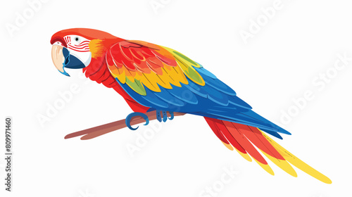 Tropical Ara parrot. Macaw multicolored feathered bird © Ayyan