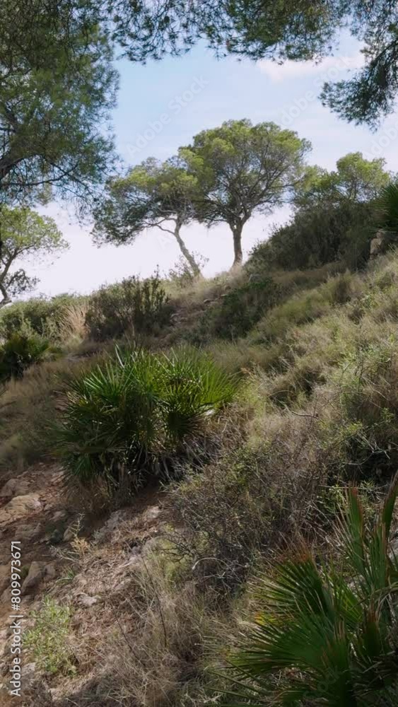A walk through the hills of Castellon. A fenced path climbs up. A warm day in Spain. A popular place in the park for outdoor activities. Orapessa del Mar