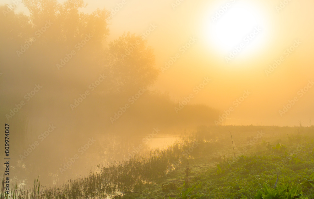 The edge of a lake with reed in wetland in springtime at sunrise , Almere, Flevoland, The Netherlands, May 9, 2024 The edge of a lake with reed in wetland in springtime at sunrise , Almere, Flevoland, The Netherlands, May 9, 2024