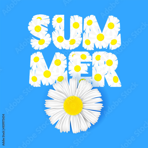 Text SUMMER made of white daisies. Vector object