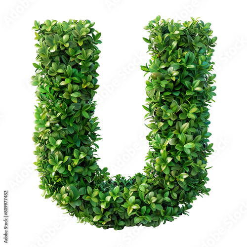 The letter 'U' in the shape of a bush, SANS SERIF FONT, isolated on a white transparent background