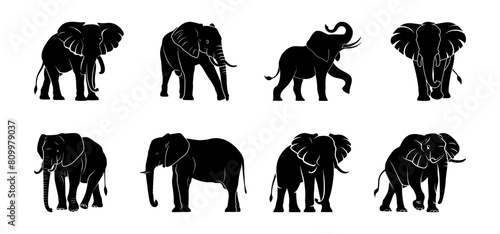 set of elephant silhouettes, isolated background