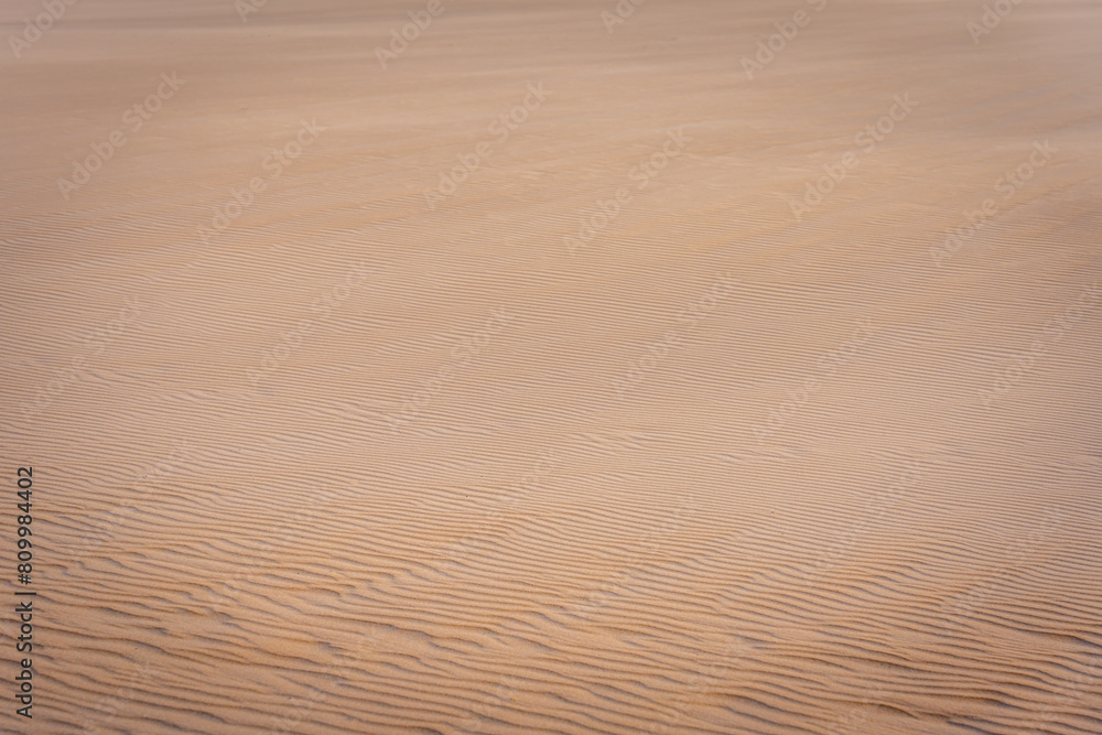 Soft sandy shores / beach Soft sandy shores / beach