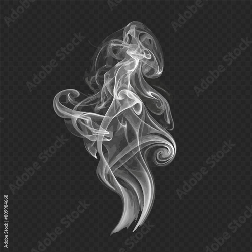 Smoke on a transparent background. Modern, digital vector illustration of smoke on a transparent background.