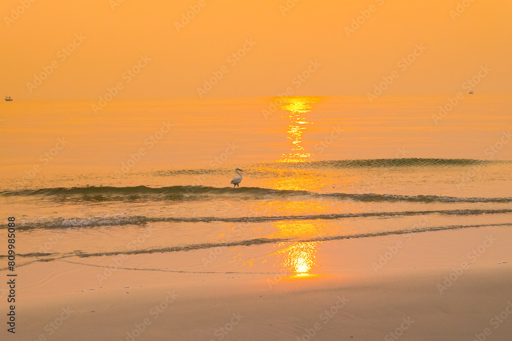 Litlle Egret or white heron flying over sea in sunrise. Litlle Egret or white heron flying over sea in sunrise.