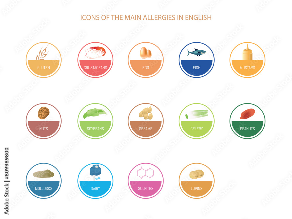 The image is a collection of circles of different colors, each one with a symbol representing the different food allergies.Text in English The image is a collection of circles of different colors, each one with a symbol representing the different food allergies.Text in English