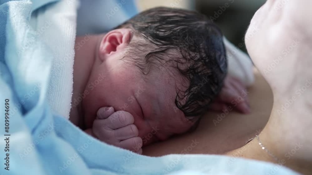 Real life newborn baby resting on mother's chest crying for the first time in the first minutes of life. authentic infant right after childbirth Real life newborn baby resting on mother's chest crying for the first time in the first minutes of life. authentic infant right after childbirth