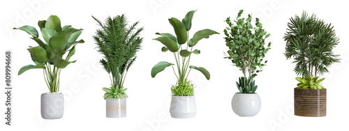 Plants in 3d rendering. Beautiful plant in 3d rendering isolated	
