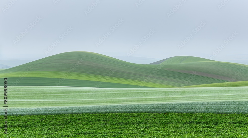   A scene of green grassy expanse, dotted with hills in the backdrop, and a mid-distance blue sky adorned with scattered clouds