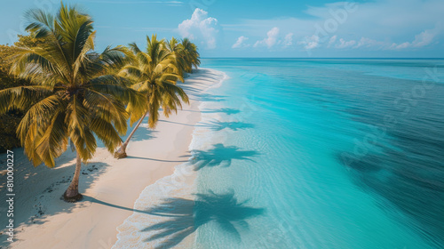 A beautiful beach with palm trees and a blue ocean © jr-art