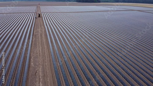 system of drip irrigation of fields, view from the height of a drone
