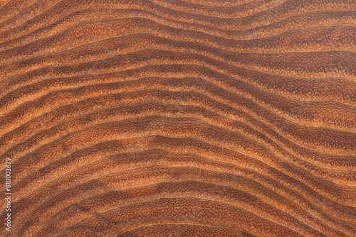 macro photo of a wooden background with a smooth and even texture.