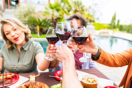 Close Up Shot of People Cheers, Making Toasts and Touch with red Wine -
People Drink wine enjoy - Happy friends having fun outdoor - A group of girlfriends raise a toast with glasses of white colored 