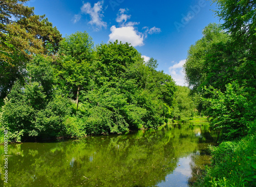 Summer landscape, the river in the park, tree in the park